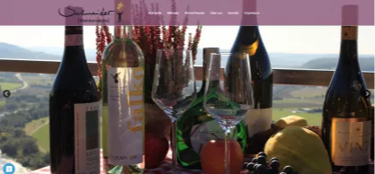 Website von Schneider Weinkonzepte in Karlstadt am Main – Webdesign von WebDesign & Marketing